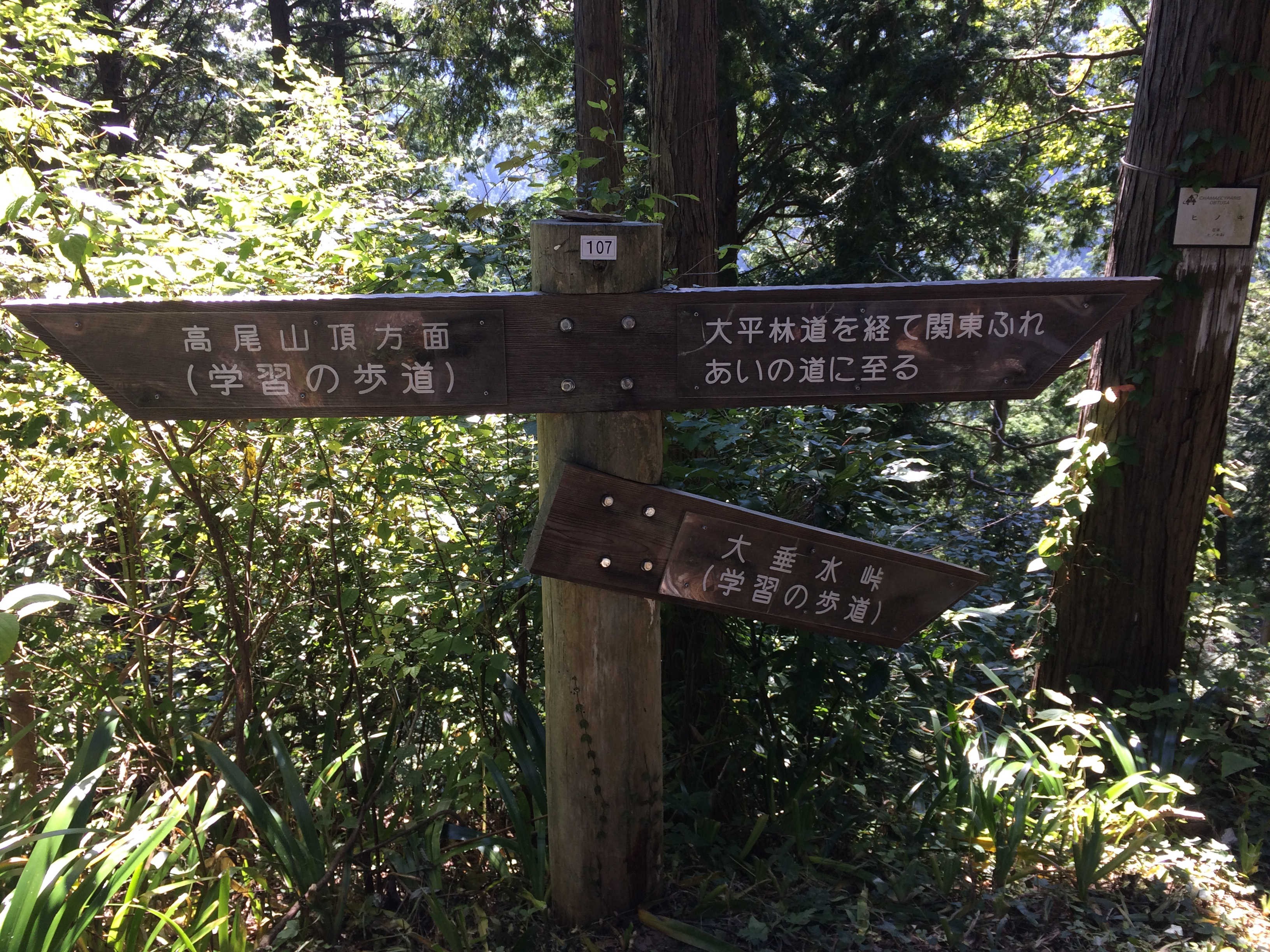 ☜高尾山町方面　☞太平山林道を経て関東ふれあいの道に至る　☟大垂水峠